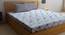 Double Bedsheet-KLBS-2106-Multi (King Size, Multicolor) by Urban Ladder - Front View Design 1 - 858012