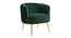 Leiser Accent Chair (Green) by Urban Ladder - Front View Design 1 - 858142