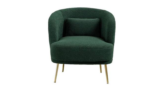 Citium Accent Chair (Green) by Urban Ladder - Front View Design 1 - 858145
