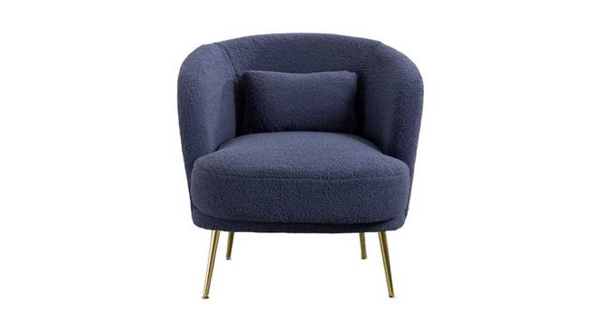 Citium Accent Chair (Blue) by Urban Ladder - Front View Design 1 - 858146