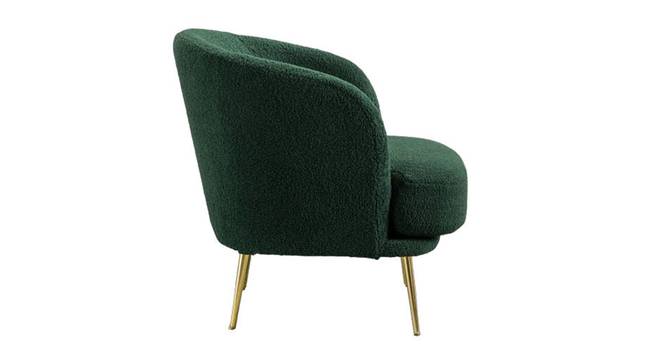 Citium Accent Chair (Green) by Urban Ladder - Design 1 Side View - 858161
