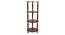 Xanthea Bookshelf (Polished Finish) by Urban Ladder - Design 1 Side View - 858320