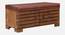 Liliana Solid Wood Shoe Rack In Honey Oak (Red, Honey Oak Finish) by Urban Ladder - - 