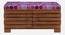 Liliana Solid Wood Shoe Rack In Honey Oak (Pink, Honey Oak Finish) by Urban Ladder - - 