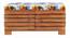 Liliana Solid Wood Shoe Rack In Honey Oak (Honey Oak Finish, Multicolor Floral) by Urban Ladder - - 
