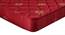 Amaze Eco Mattress with HD (High Density) Foam - Queen Size (Queen Mattress Type, 72 x 60 in Mattress Size, 3 in Mattress Thickness (in Inches)) by Urban Ladder - - 