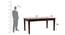 Fonteyn 6 Seater Dining Set With 2 Drawer (Walnut Finish) by Urban Ladder - Ground View Design 1 - 860328