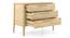 Faye Chest of Drawers Finish - Natural white Ash (Natural White Ash Finish) by Urban Ladder - Side View Design 1 - 863533