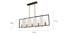 Aria Metal Hanging Light in Black, Gold Colour (Multicolor) by Urban Ladder - Ground View Design 1 - 866338