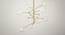 Cora Glass Hanging Light in Gold,Clear Colour (Gold) by Urban Ladder - Ground View Design 1 - 866417