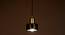 Shine-Gr Metal Hanging Light in Green Colour (Green) by Urban Ladder - Rear View Design 1 - 866466