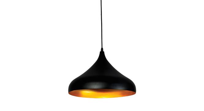 Abrax Metal Hanging Light in Black Colour (Black) by Urban Ladder - Design 1 Side View - 866476