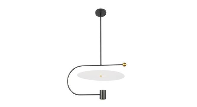 Ornatey Metal Hanging Light in Matte black Colour (Black) by Urban Ladder - Front View Design 1 - 866586