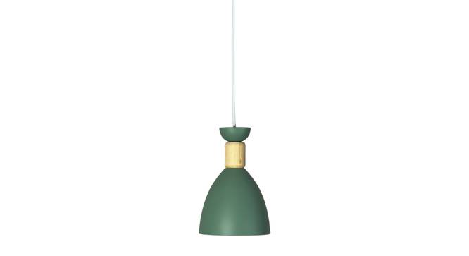 Lucan Metal Hanging Light in Green Colour (Green) by Urban Ladder - Design 1 Side View - 866672
