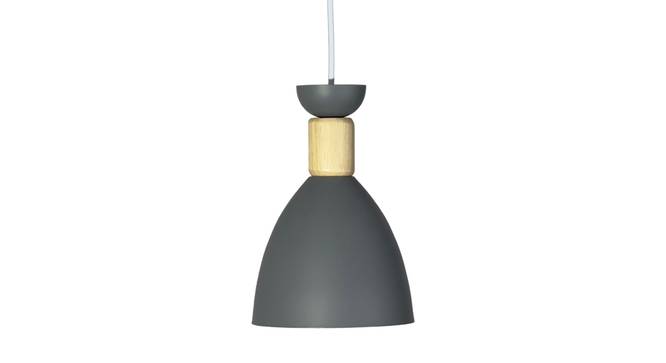 Lucan Metal Hanging Light in Grey Colour (Grey) by Urban Ladder - Design 1 Side View - 866674
