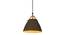 Voris Metal Hanging Light in Brown Colour (Brown) by Urban Ladder - Design 1 Side View - 866683