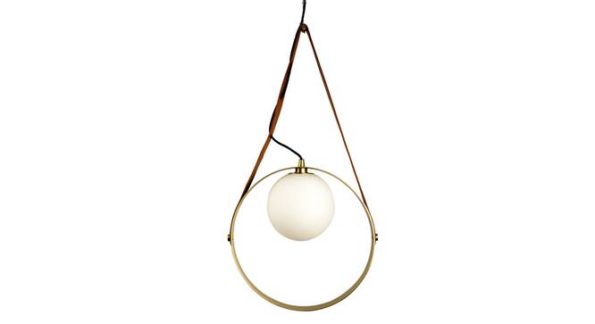 Hoop Metal Hanging Light in Sand Gold Colour (Gold) by Urban Ladder - Front View Design 1 - 866712