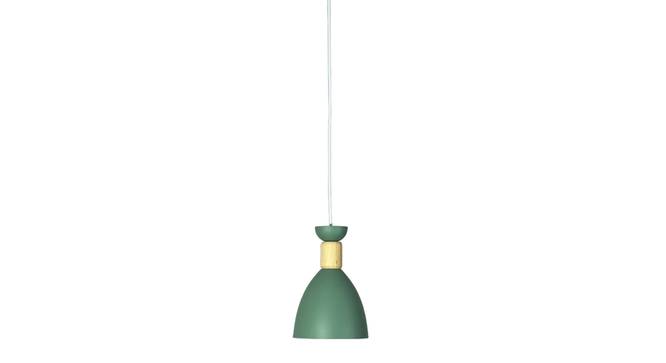 Lucan Metal Hanging Light in Green Colour (Green) by Urban Ladder - Front View Design 1 - 866734
