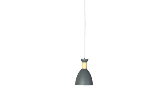 Lucan Metal Hanging Light in Grey Colour (Grey) by Urban Ladder - Front View Design 1 - 866735