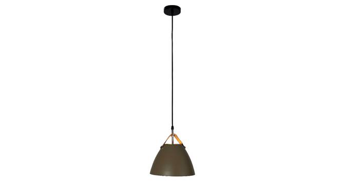 Voris Metal Hanging Light in Brown Colour (Brown) by Urban Ladder - Front View Design 1 - 866741