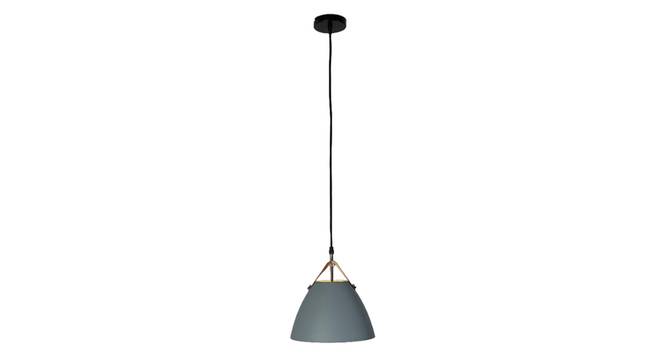 Voris Metal Hanging Light in Grey Colour (Grey) by Urban Ladder - Front View Design 1 - 866742