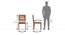 Capra Dining Chairs - Set of Two (Teak Finish) by Urban Ladder - Dimension Design 1 - 