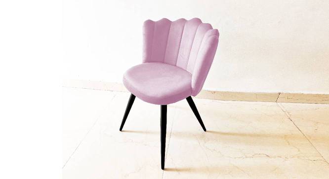 Finch Fox - Happiness is Complimentary Dining Chair-light  pink (Light Pink Finish) by Urban Ladder - - 867022