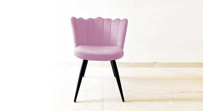 Finch Fox - Happiness is Complimentary Dining Chair-light  pink (Light Pink Finish) by Urban Ladder - - 867023