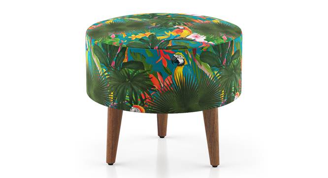 Petunia Stools (Teak Finish) by Urban Ladder - Front View Design 1 - 
