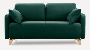 Roma 2 Seater Velvet Sofa in Green Color