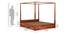 Victorian Rosewood Canopy Bed With Drawer In Honey oak Finish (King Bed Size, Drawer Storage Type, Honey Oak Finish) by Urban Ladder - - 