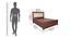 Georgia Bed With Hydraulic Storage (Walnut Finish, Queen Bed Size) by Urban Ladder - Dimension Design 1 - 