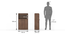 Miles Engineered Wood Bookshelf (Classic Walnut Finish) by Urban Ladder - - 