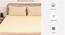 Ginger Fitted Cotton Bedsheet Set (Beige, Single Size) by Urban Ladder - - 