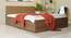 Lush Queen Engineered Wood Bed Design 3 (Walnut Finish, Tan, Queen Bed Size, Box Storage Type) by Urban Ladder - Front View Design 1 - 871913