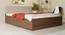 Lush Queen Engineered Wood Bed Design 10 (Walnut Finish, Brown, Queen Bed Size, Box Storage Type) by Urban Ladder - Front View Design 1 - 871915