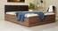 Lush Queen Engineered Wood Bed Design 13 (Walnut Finish, Queen Bed Size, Dark Brown, Box Storage Type) by Urban Ladder - Front View Design 1 - 871917