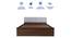 Lush Queen Engineered Wood Bed Design 1 (Walnut Finish, Queen Bed Size, Light Grey, Box Storage Type) by Urban Ladder - Ground View Design 1 - 871927