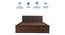 Lush Queen Engineered Wood Bed Design 2 (Walnut Finish, Queen Bed Size, Dark Grey, Box Storage Type) by Urban Ladder - Ground View Design 1 - 871928
