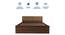 Lush Queen Engineered Wood Bed Design 3 (Walnut Finish, Tan, Queen Bed Size, Box Storage Type) by Urban Ladder - Ground View Design 1 - 871929