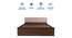 Lush Queen Engineered Wood Bed Design 10 (Walnut Finish, Brown, Queen Bed Size, Box Storage Type) by Urban Ladder - Ground View Design 1 - 871931