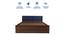 Lush Queen Engineered Wood Bed Design 11 (Walnut Finish, Queen Bed Size, Navy Blue, Box Storage Type) by Urban Ladder - Ground View Design 1 - 871932