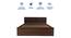 Lush Queen Engineered Wood Bed Design 19 (Walnut Finish, Queen Bed Size, Dark Brown, Box Storage Type) by Urban Ladder - Ground View Design 1 - 871934