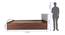 Lush Queen Engineered Wood Bed Design 7 (Walnut Finish, Queen Bed Size, Light Grey, Box Storage Type) by Urban Ladder - Image 2 Design 1 - 871953