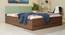 Lush Queen Engineered Wood Bed Design 20 (Walnut Finish, Queen Bed Size, Box Storage Type, Mint Green) by Urban Ladder - Front View Design 1 - 871967