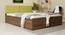 Lush Queen Engineered Wood Bed Design 21 (Walnut Finish, Queen Bed Size, Box Storage Type, Mint Green) by Urban Ladder - Front View Design 1 - 871968