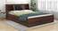 Lavish Center Queen Engineered Wood Bed Design 1 (Walnut Finish, Queen Bed Size, Navy Blue, Box Storage Type) by Urban Ladder - Front View Design 1 - 871969