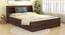 Lavish Center Queen Engineered Wood Bed Design 4 (Walnut Finish, Queen Bed Size, Box Storage Type, Grey Blue) by Urban Ladder - Front View Design 1 - 871972