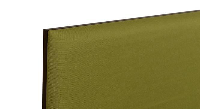 Lush Queen Engineered Wood Bed Design 21 (Walnut Finish, Queen Bed Size, Box Storage Type, Mint Green) by Urban Ladder - Design 1 Side View - 871978