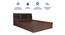 Lavish Center Queen Engineered Wood Bed Design 1 (Walnut Finish, Queen Bed Size, Navy Blue, Box Storage Type) by Urban Ladder - Rear View Design 1 - 871998